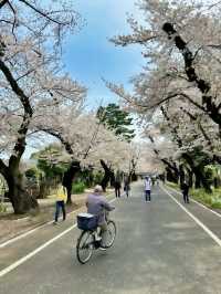 โอซาก้า🇯🇵