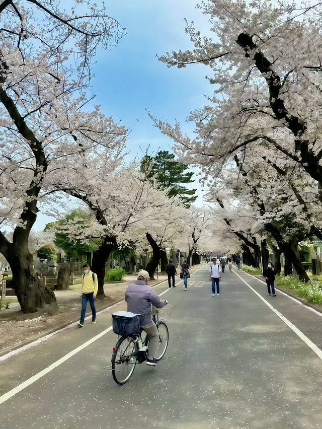 โอซาก้า🇯🇵