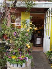 🌼【青山 COUNTRY HARVEST】草花の物語を感じる、大人の花屋さん体験🌿
