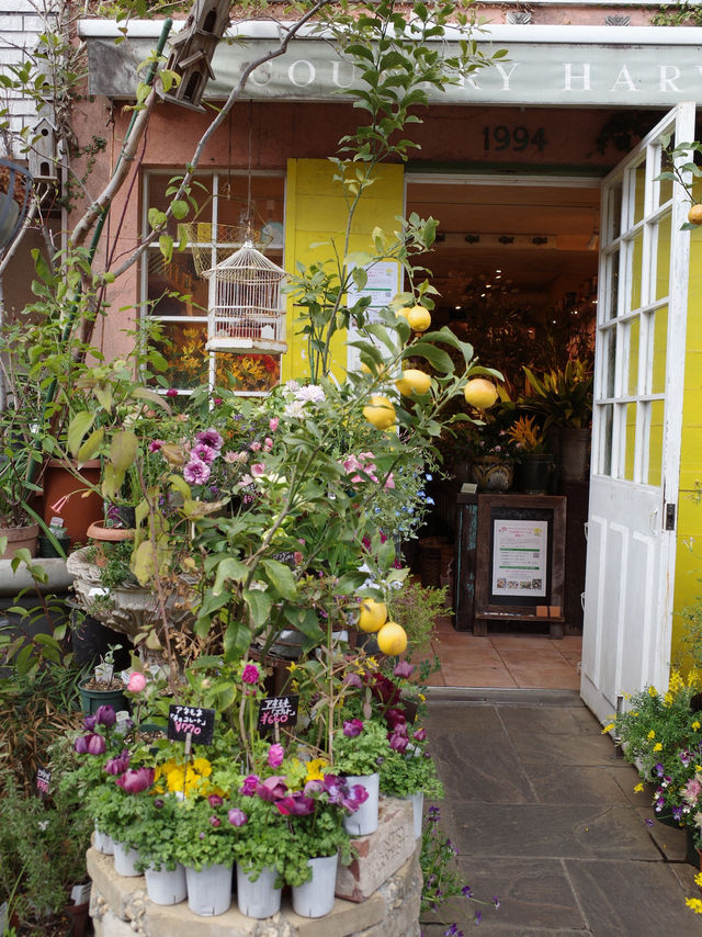 🌼【青山 COUNTRY HARVEST】草花の物語を感じる、大人の花屋さん体験🌿