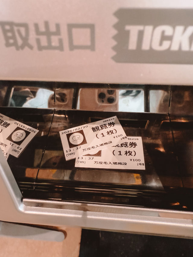 沖繩必到！萬座毛！打卡象鼻🐘既石灰岩懸崖 🇯🇵 Okinawa