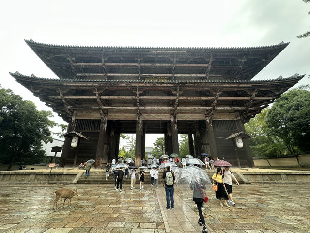 東大寺：在奈良探訪千年古寺，感受佛教文化的莊嚴與美麗！