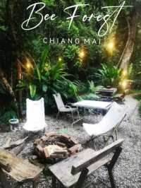 เที่ยวหน้าฝนในป่าเขียว สดชื่นจับใจ