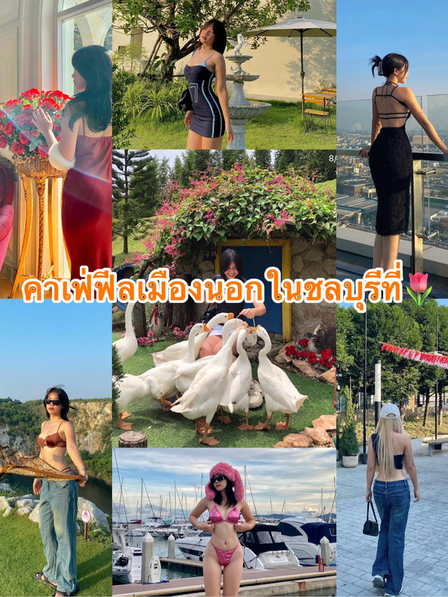 คาเฟ่ฟีลเมืองนอกในชลบุรีที่ไปแล้วอยากกลับไปอีก🌷