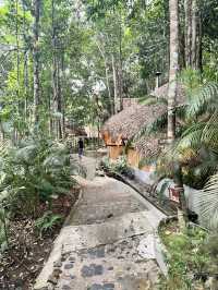 🌿 รีวิว Chestnut Hill Eco Resort