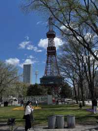 🎯【北海道・札幌大通公園】イベントと緑に彩られる、四季の都市公園