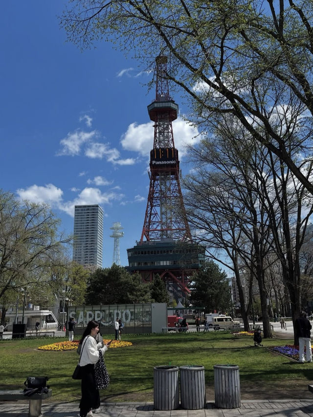 🎯【北海道・札幌大通公園】イベントと緑に彩られる、四季の都市公園