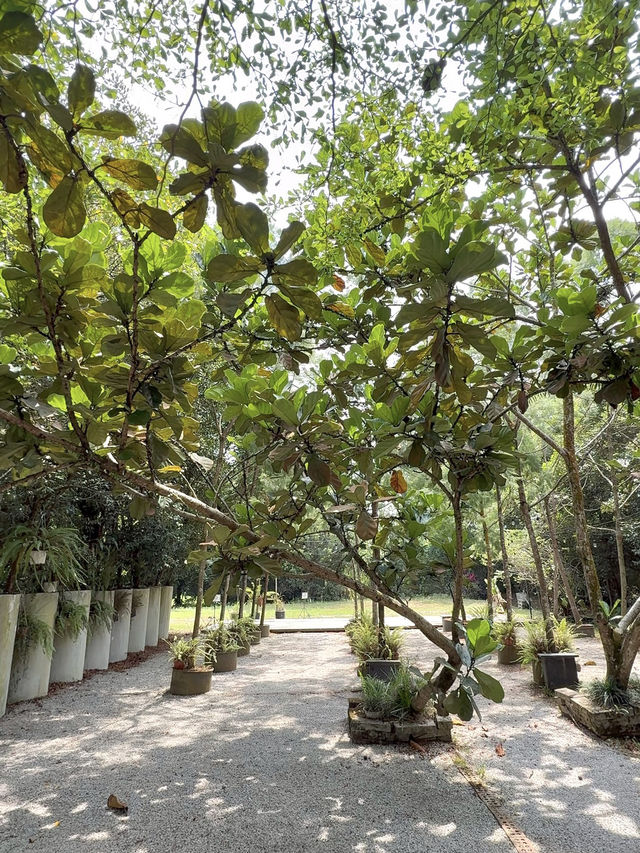 Dreamy Glasshouse Café with Ghibli Garden Vibes - Lune24 Skudai