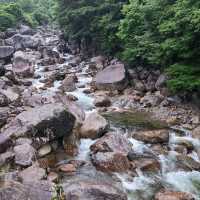 Nature & Vibes Near Sansuhwa Pension