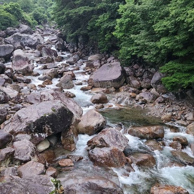 Nature & Vibes Near Sansuhwa Pension