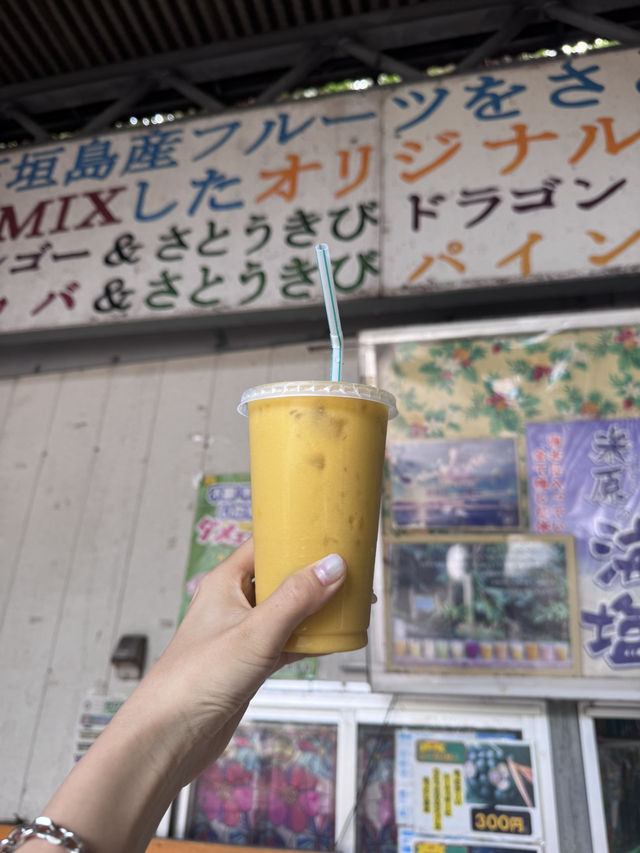 年3回石垣島✨️1泊2日プラン
