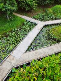 Serenity in the city: A stroll through Benchakiti Park, Bangkok