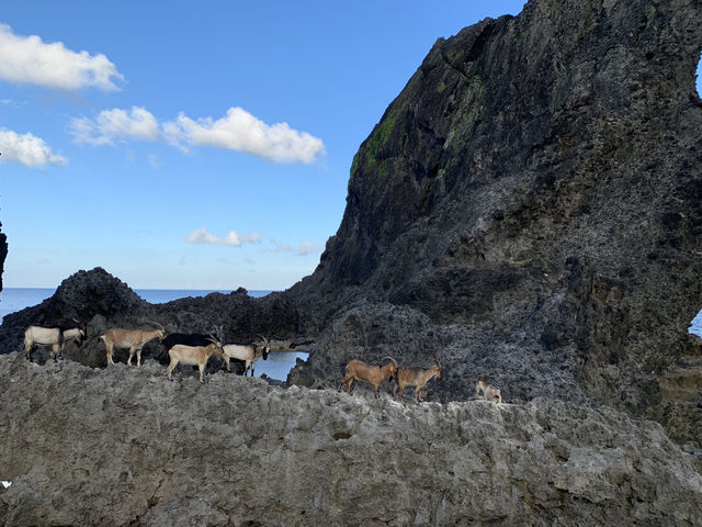 台東的小島 蘭嶼 絕世美景