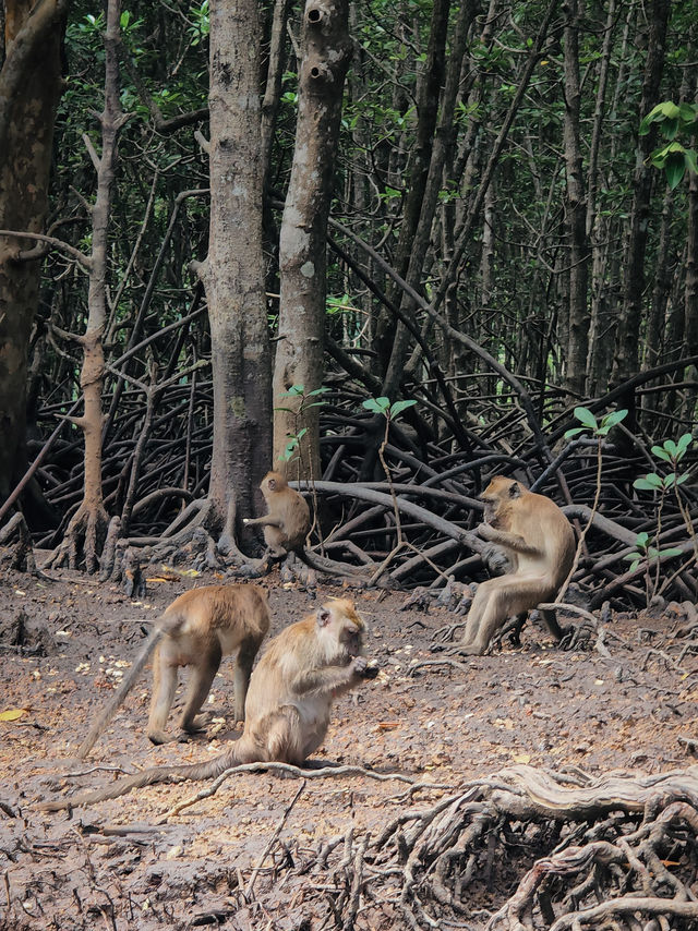 Into the Wild: Discover the Natural Wonders of Kilim Geoforest Park