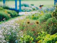 Kew Gardens – A Living Tapestry of Global Botany in London