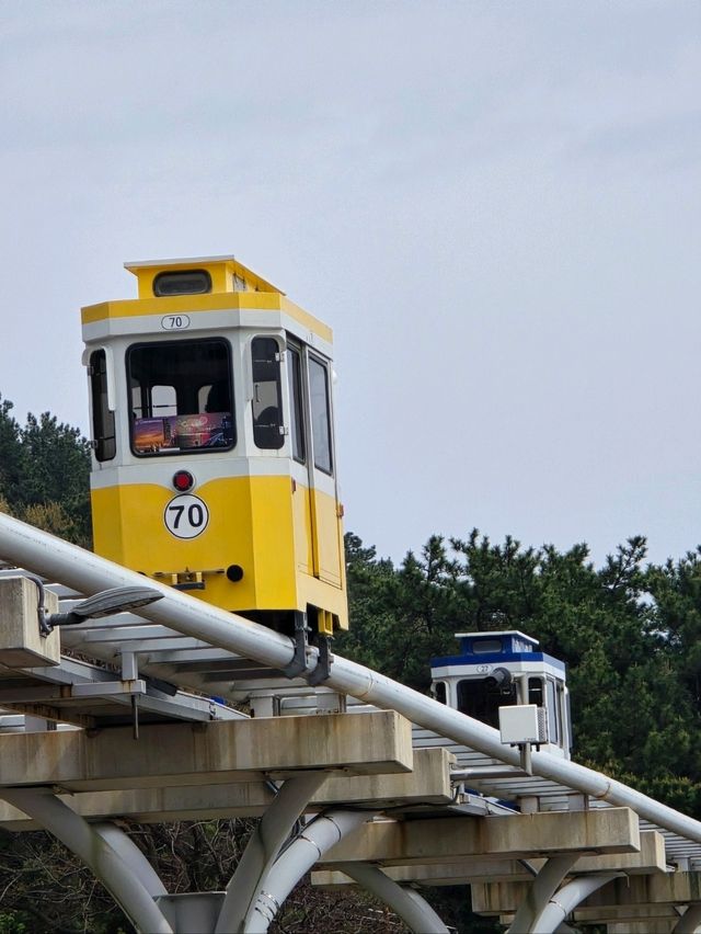 รถไฟปุ๊กปิ๊ก ที่ปูซาน 1 Day trip
