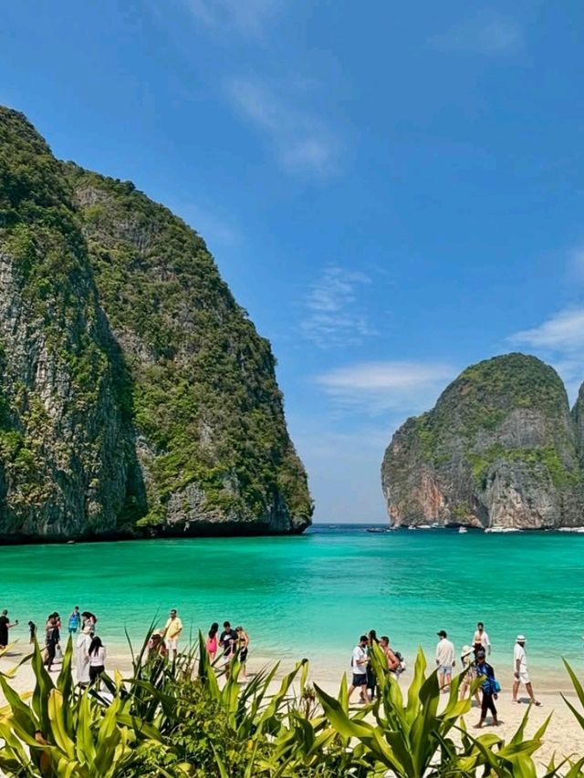 🏝️☀️ Phi Phi Calling! | Cruise to Thailand’s Island Gem 🚤🇹🇭