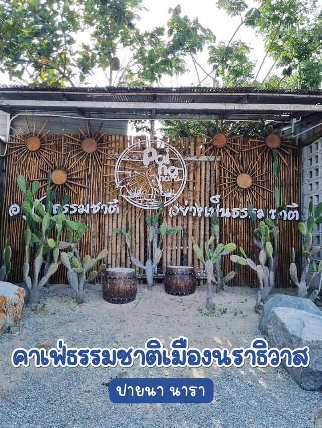 ปายนา นารา
