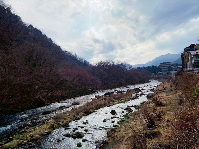 เที่ยว Nikko เมืองเล็กกลางหุบเขา