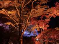 奇岩と紅葉が織りなす絶景🌿那谷寺で心洗われる癒し旅