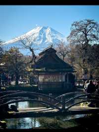 【富士五湖で絶景と癒しの湖旅】富士山を望む五つの宝石🌄💎