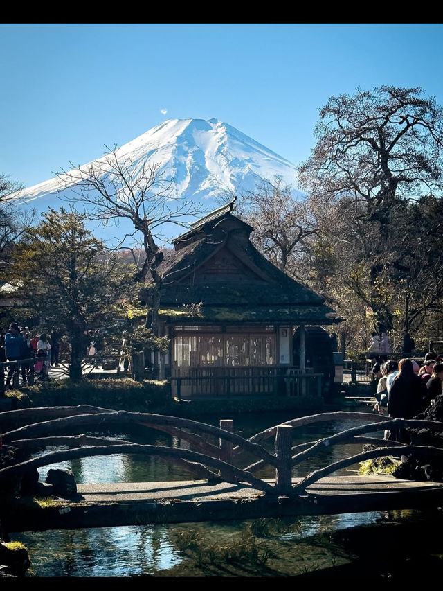 【富士五湖で絶景と癒しの湖旅】富士山を望む五つの宝石🌄💎