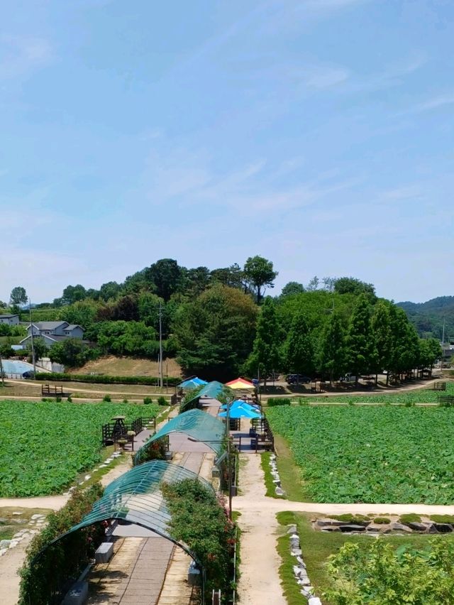 계절을 기다리는 시작점, 삶의 리듬을 채우는 공간