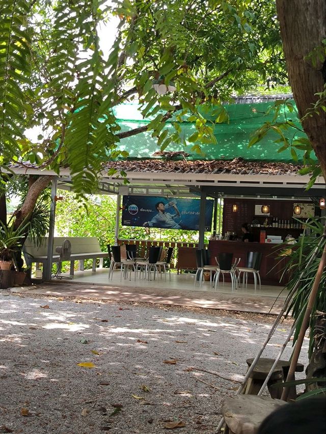 ครัวคุณตุ้ม ร้านอาหารจัดจ้านแห่งกาญจนบุรี