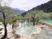 🏞️Epic Nature Combo: Huanglong + Jiuzhaigou Summer Adventure