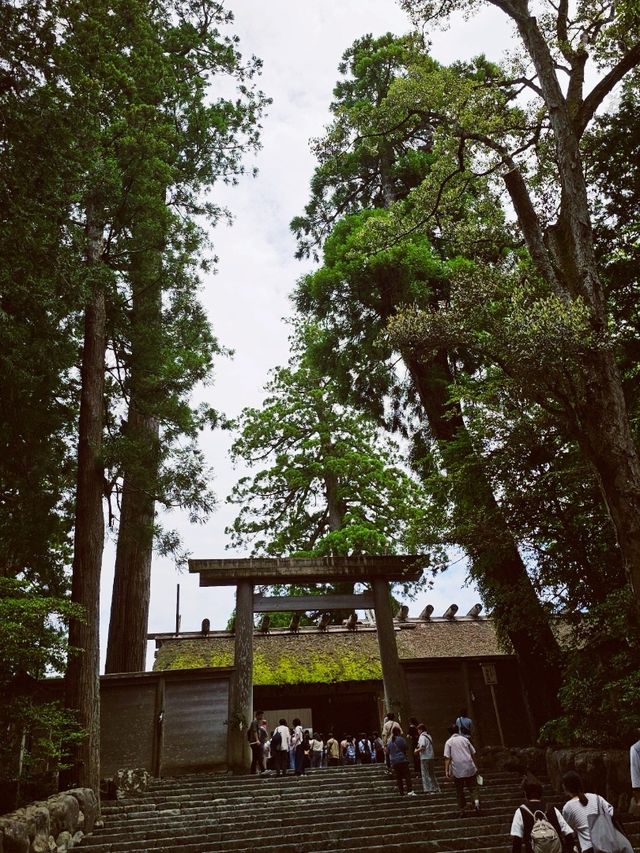 日本人一生必訪的心靈故鄉〔伊勢神宮〕⛩️✨
