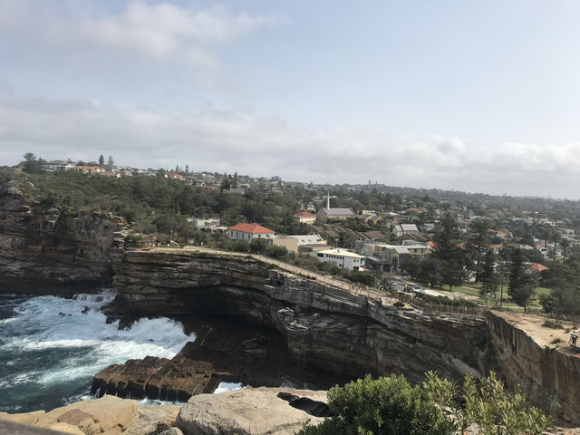 🌅 Watsons Bay – Laid-back Coastal Charm with Harbour Views