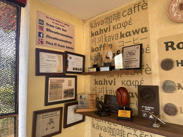 【Ocaso Coffee House｜Finca El Ocasoのコーヒーツアー】