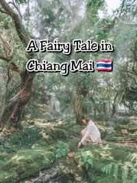 Stepping Into a Fairy Tale in Chiang Mai 🌳🧚‍♀️