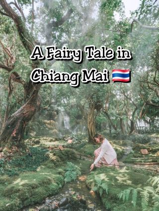 Stepping Into a Fairy Tale in Chiang Mai 🌳🧚‍♀️