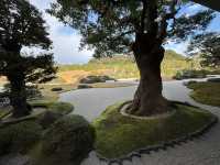 足立美術館（日本第一庭院）