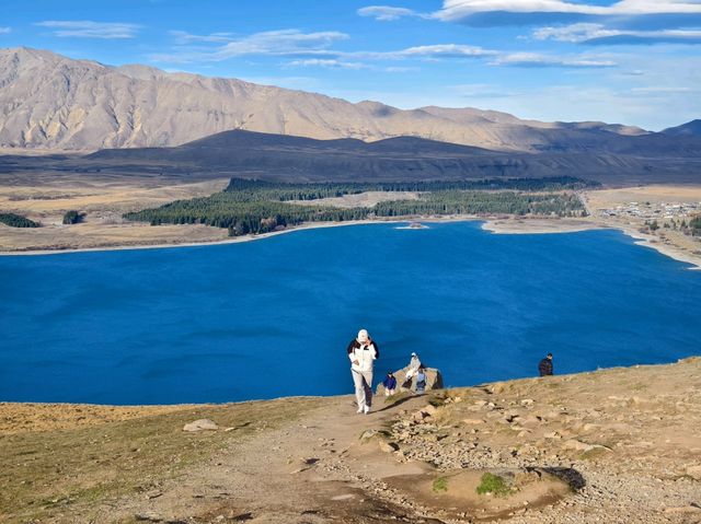 Views for Days: The Magic from Mount John Observatory!
