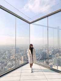Tokyo Highlights: Crossing Moments & Skyline Dreams