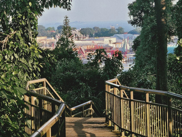 My Hike to Faber Point: A Refreshing Singaporean Discovery! 🇸🇬🚶‍♀️