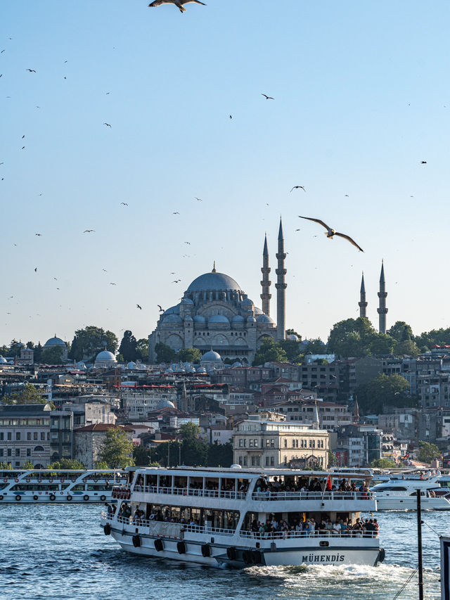 トルコ🇹🇷