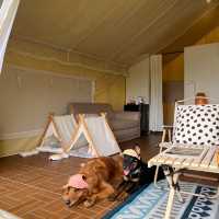 🍃🪵 ที่พักเขาใหญ่บนเนินเขา Pet friendly