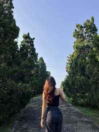 Good vibes ที่เชียงใหม่⛰️🌳💚 