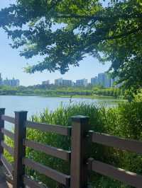 🌸 수원 만석공원 나들이, 도심 속 자연 휴식! 