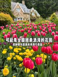 可能係全韓國最靚嘅花園！晨靜樹木園：四季都美到不像話💐💫