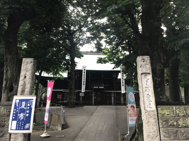 【雑司ヶ谷　鬼子母神　夏の朝の散歩】