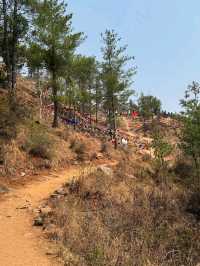 Thimphu Adventures Done Right