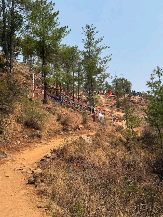 Thimphu Adventures Done Right