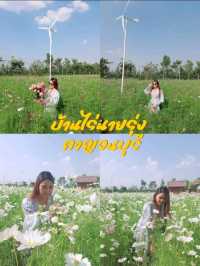สวนดอกไม้ บ้านไร่นายรุ่ง กาญจนบุรี