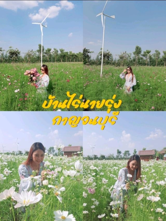 สวนดอกไม้ บ้านไร่นายรุ่ง กาญจนบุรี