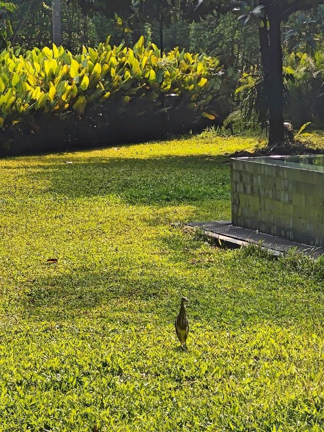 The Hidden Resort & Restaurant รีสอร์ทลับในป่า