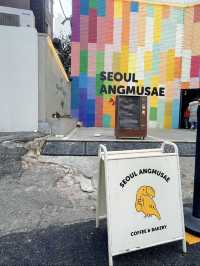 Seoul Angmusae คาเฟ่ Briocheนกแก้ว 🇰🇷